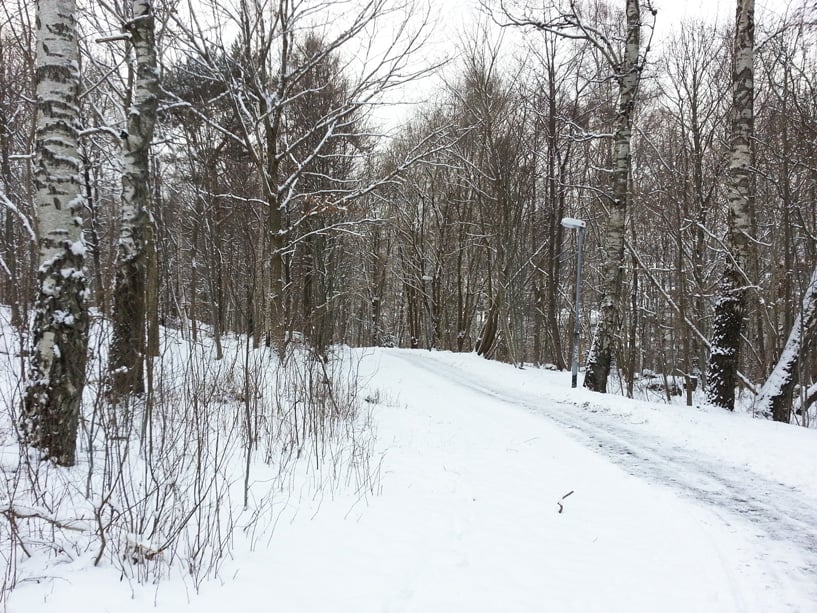 vinterväder vinterväder