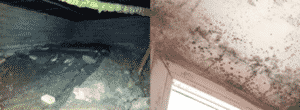 Mögel i hus - krypgrundsavfuktare är en smidig och billig lösning